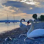 Διαμέρισμα Feriendomizil Brunnenberg Sipplingen