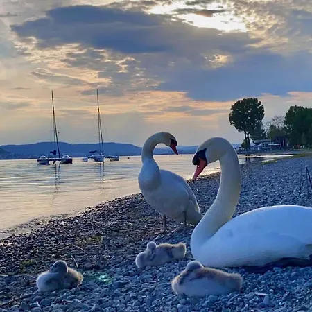 Appartamento Feriendomizil Brunnenberg Sipplingen