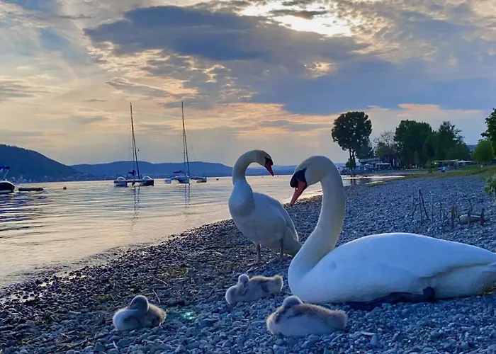 Appartement Feriendomizil Brunnenberg Sipplingen