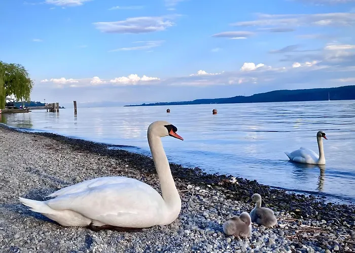 Feriendomizil Brunnenberg